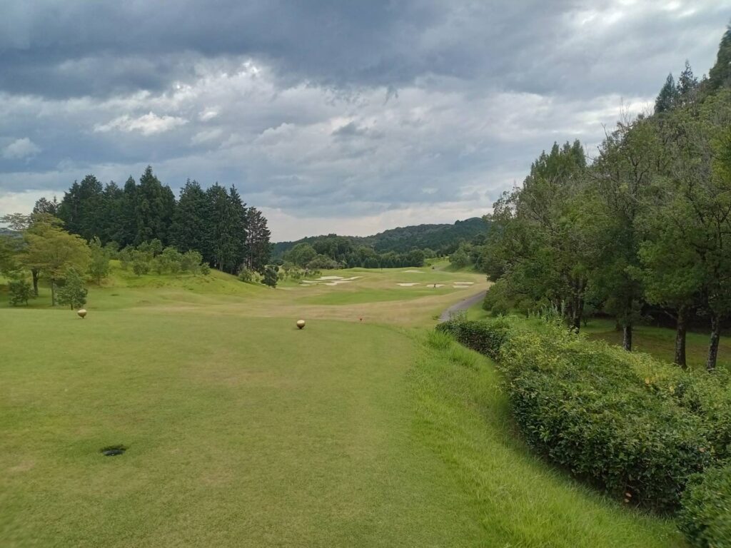 レギュラーティーから見た風景